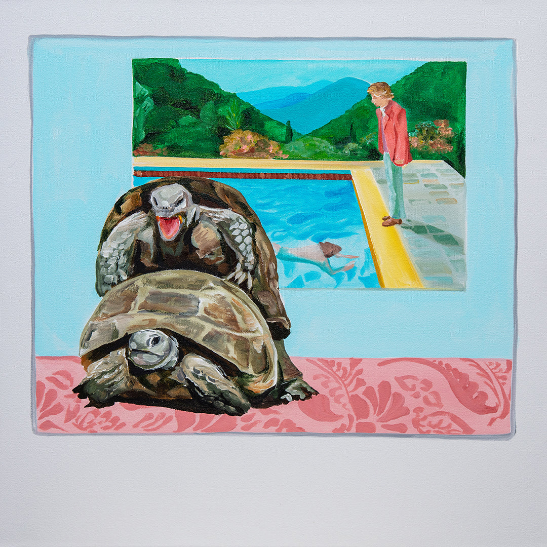 Turtles Cumming in Front of David Hockney