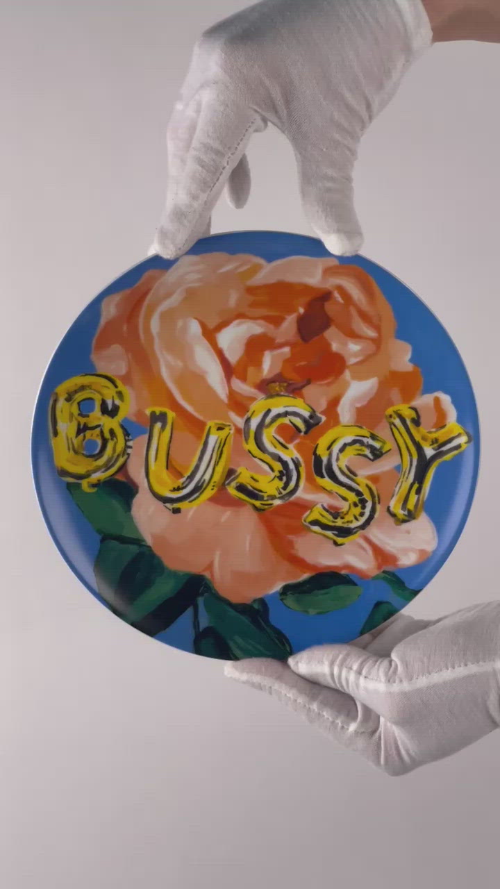 Every dinner party should have a moment discussing " what is a bussy".. " wow, I've never thought about a hamster labia".... these are the real conversations we need to be having with our friends!   8.5" Made in Poland, printed in Prague. Dessert porcelain plate set of 6:  (bussy, fuck, cum lord, hamster labia, pussy, posh twat) This item ships separately on multi-orders.