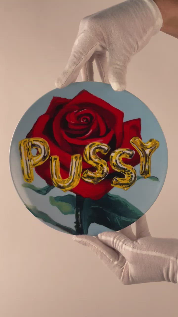Every dinner party should have a moment discussing " what is a bussy".. " wow, I've never thought about a hamster labia".... these are the real conversations we need to be having with our friends!   8.5" Made in Poland, printed in Prague. Dessert porcelain plate set of 6:  (bussy, fuck, cum lord, hamster labia, pussy, posh twat) This item ships separately on multi-orders.